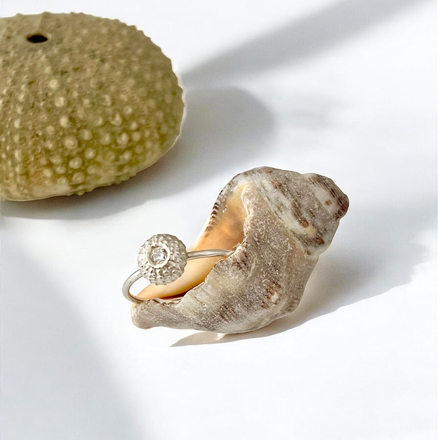 TINY SEA URCHIN Ring