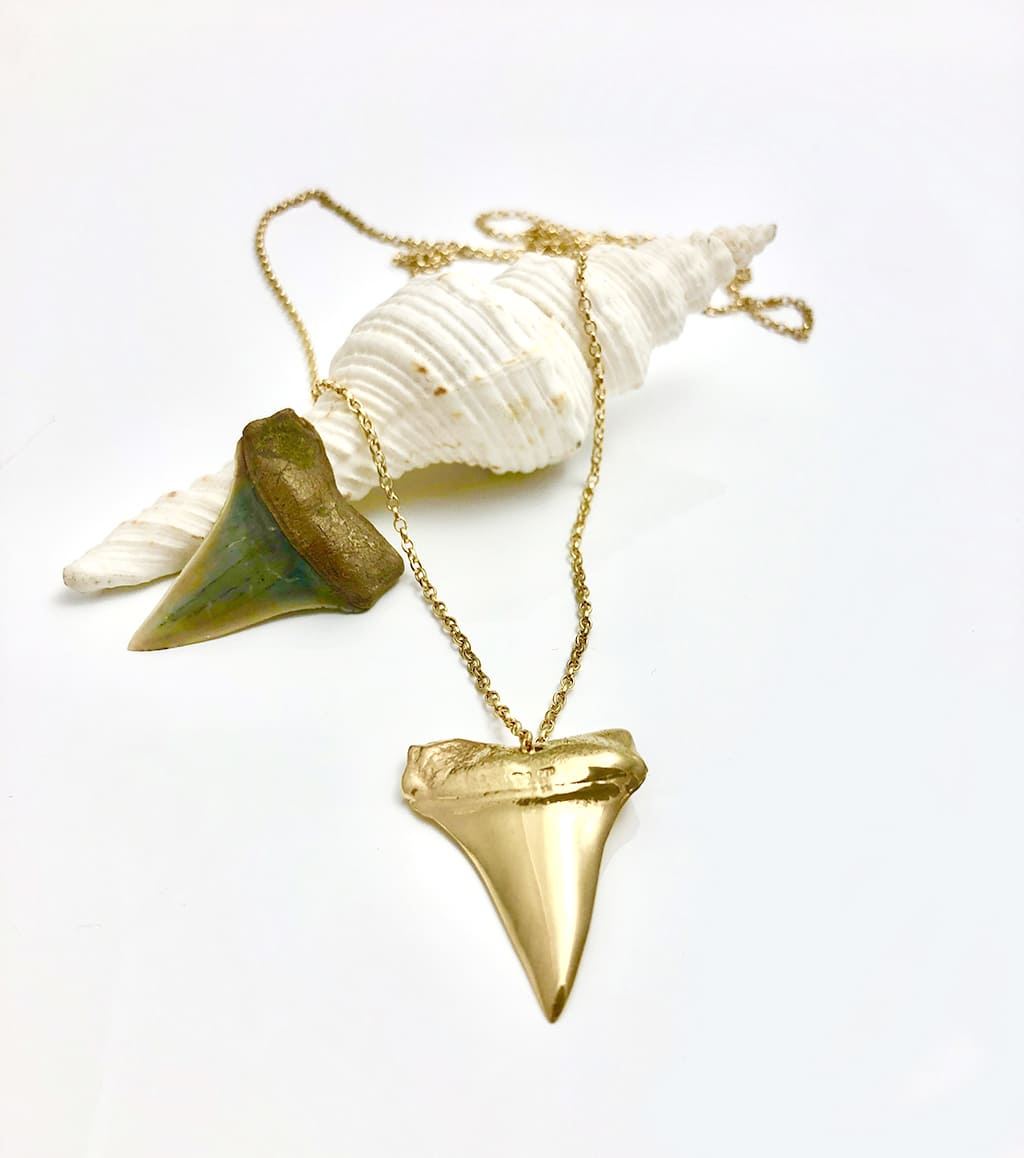 Handmade goldplated shark tooth necklace inspired by real fossils, displayed on a seashell, by Jennifer Kinnear.