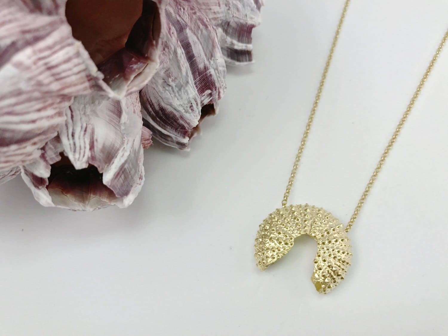 Goldplated Broken Sea Urchin necklace - Ocean Collection - Jennifer Kinnear Jewellery