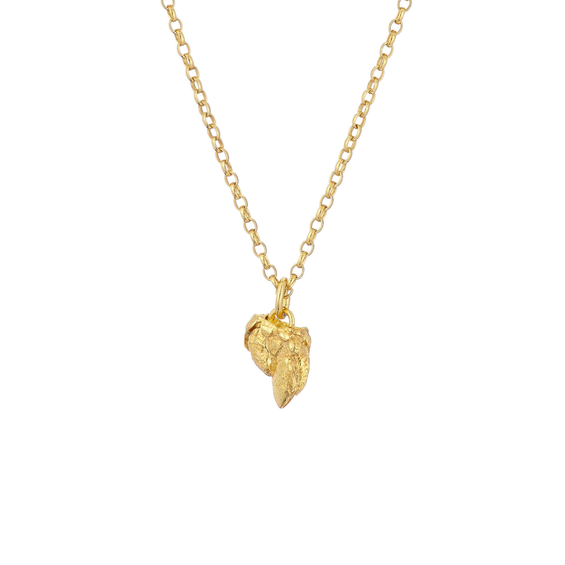 Goldplated Percebes Necklace- Ocean Collection - Jennifer Kinnear Jewellery