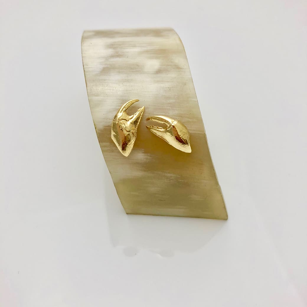 Goldplated Crab Claw Earrings - Ocean Collection - Jennifer Kinnear Jewellery