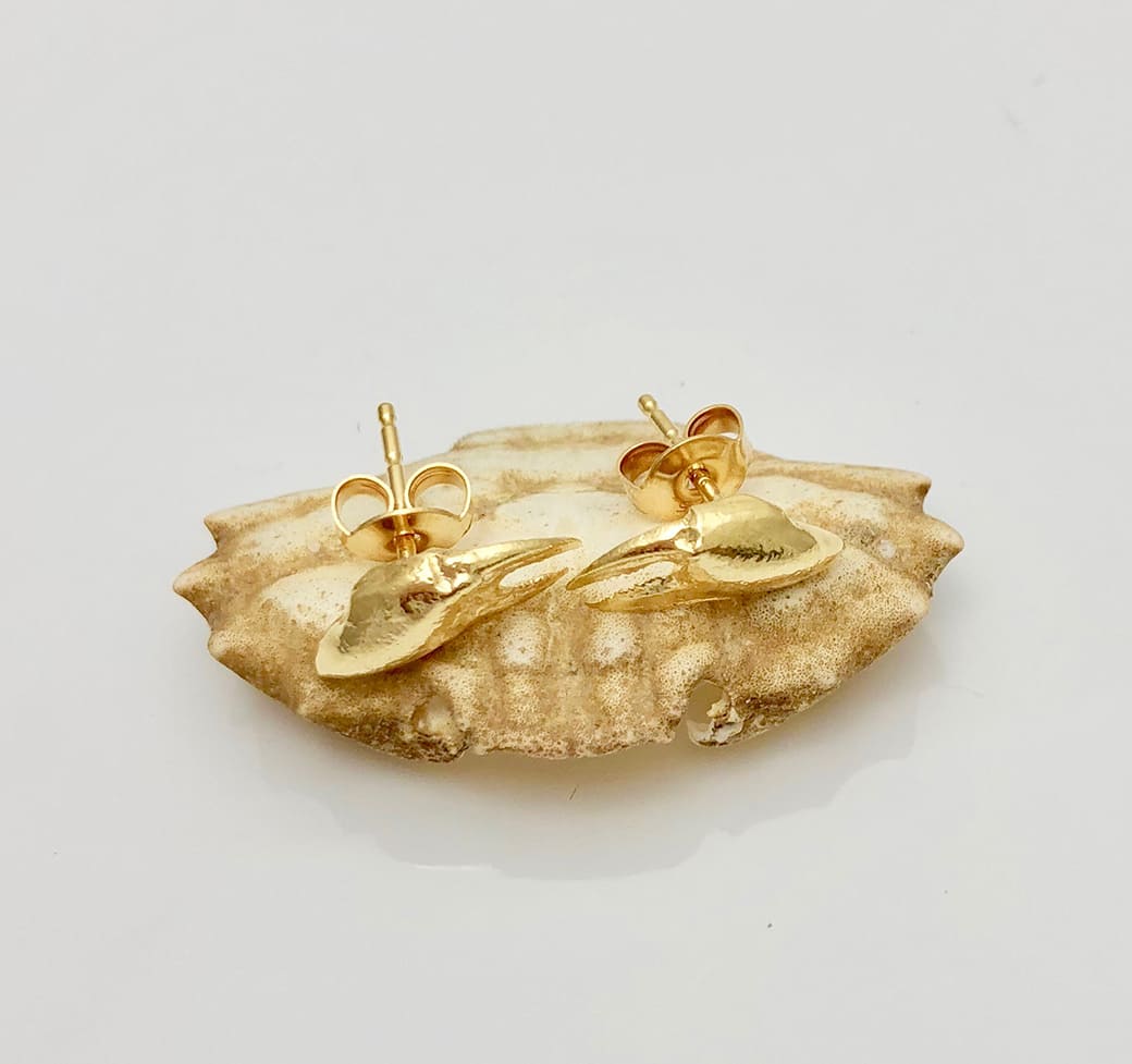 Goldplated Crab Claw Earrings - Ocean Collection - Jennifer Kinnear Jewellery