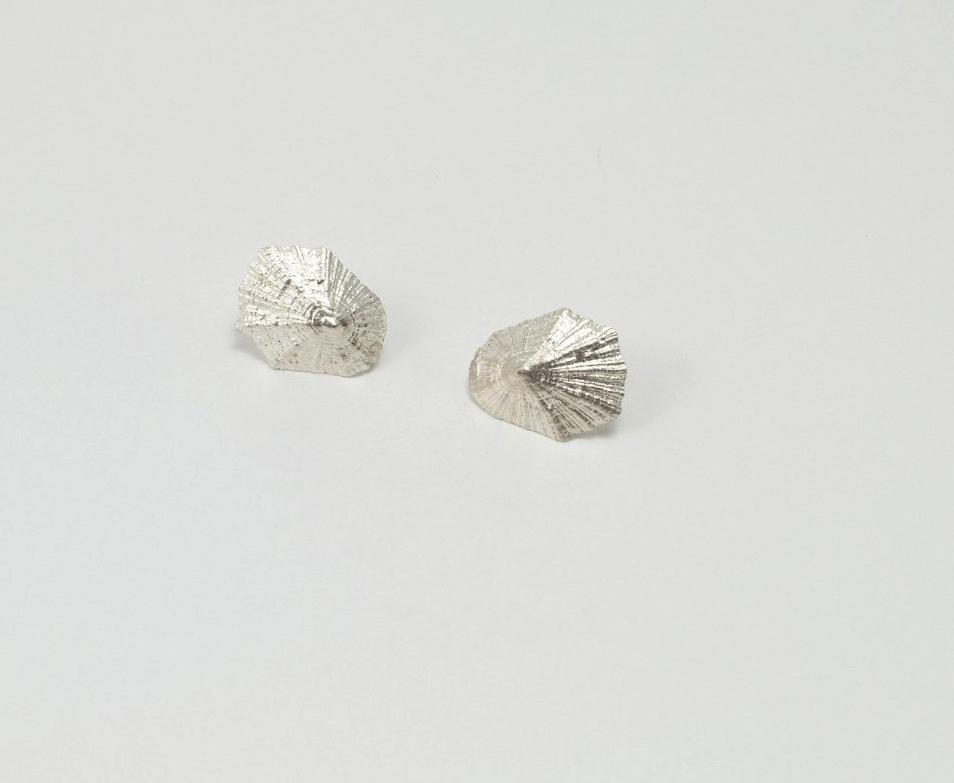Limpet Shell Earrings made in Silver - Ocean Collection - Jennifer Kinnear Jewellery