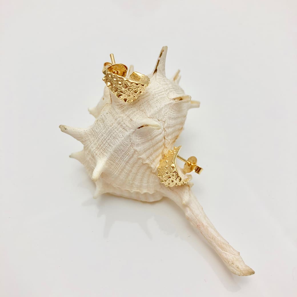 Goldplated Whelk Stud Earring Ocean Collection - Jennifer Kinnear Jewellery