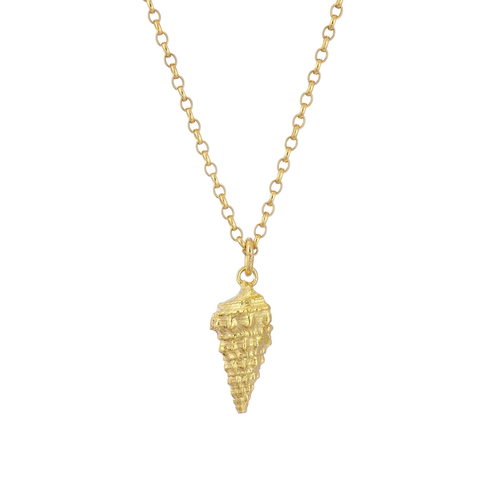Goldplated Whelk Shell Necklace - Ocean Collection - Jennifer Kinnear Jewellery