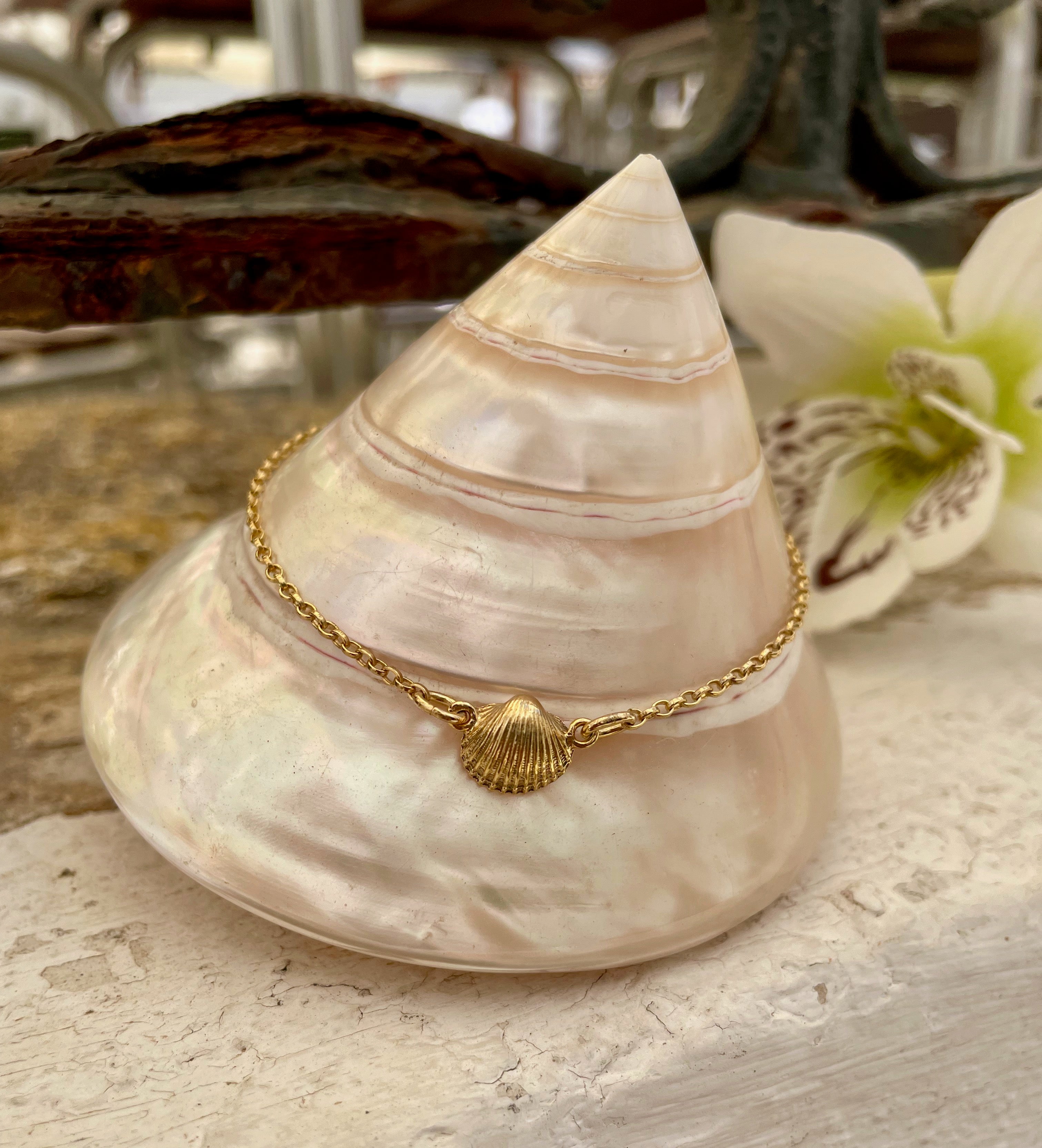 Tiny Cockle shell bracelet