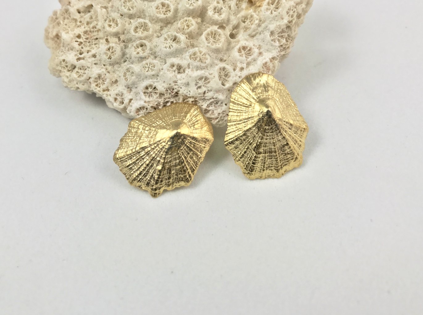 LIMPET SHELL stud earrings - gold plated - Jennifer Kinnear Jewellery - Shell collection