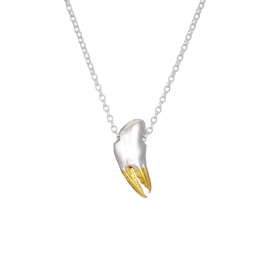 Silver Crab Claw Necklace - Ocean Collection - Jennifer Kinnear Jewellery