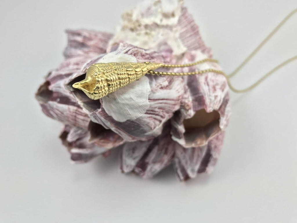 Mozamibique Whelk Shell Necklace - Ocean Collection - Jennifer Kinnear Jewellery