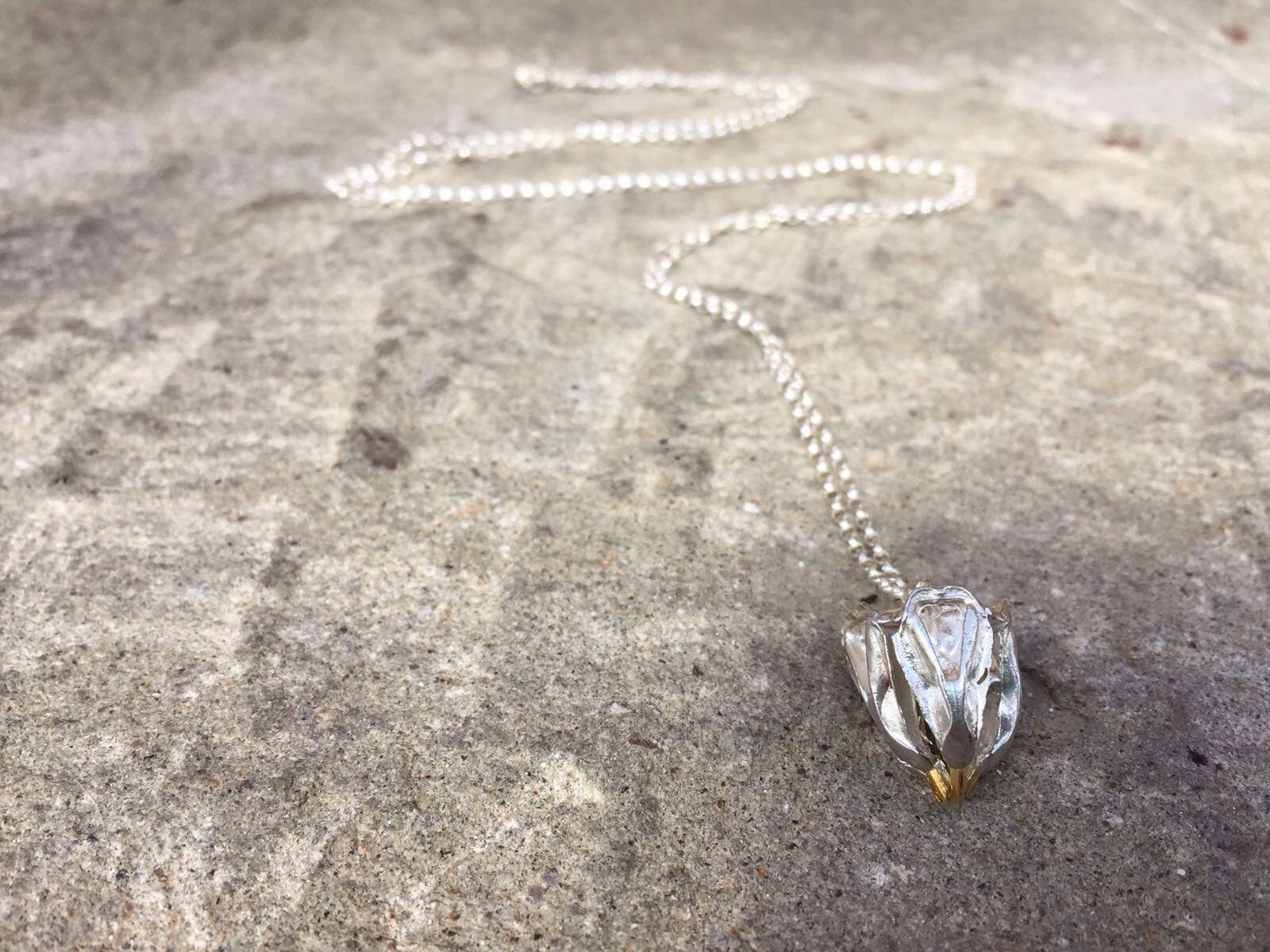 Sea urchin mouth necklace silver, gold plated on stone floor | Jennifer Kinnear Jewellery