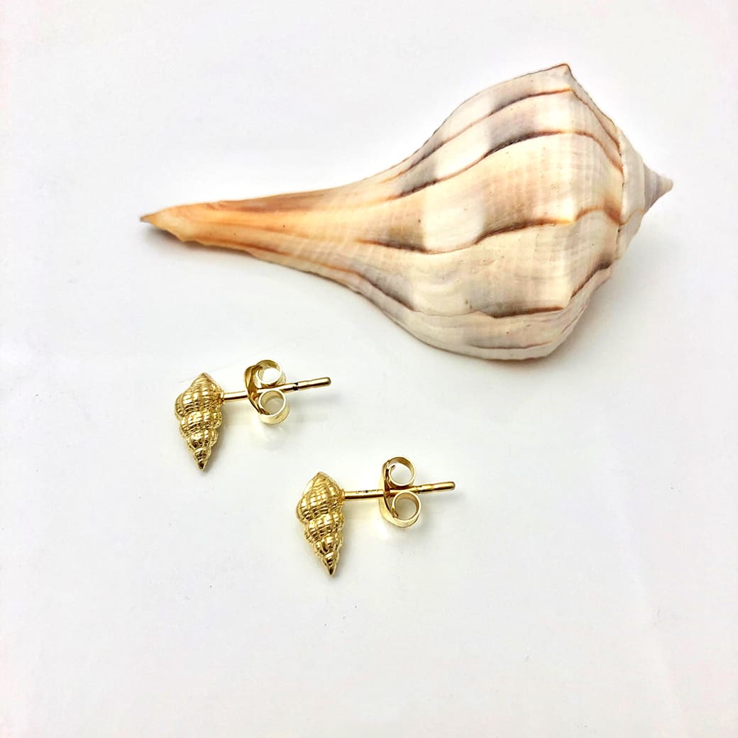 A pair of whelk shell earrings made in gold displayed next to a whelk shell handcrafted by Jennifer Kinnear.